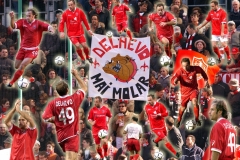 posterdelnevo