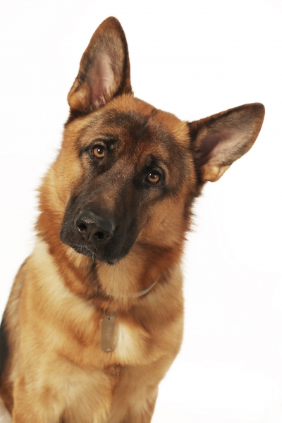 906A0169
