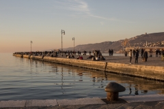 IMG_9784_19